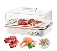 Vassoio elettrico per scongelare la carne, scatola di scongelamento da 5 litri con temperatura e timer regolabili, circolazione dell'aria calda, coperchio visivo per scongelare alimenti surgelati
