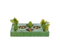 Vassoio per aperitivi Trixie Verde Cartone 28 x 3,8 x 18 cm