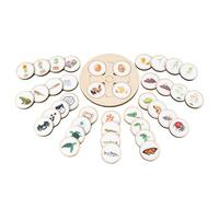Vassoio Per Ciclo Di Vita - Kit Di Abbinamento In Legno Per Bambini | Stages Di Crescita Animale, Pianta, Di Crescita Degli Insetti, Giocattolo Educativo, Progetto Di Scienze Scolastiche, D