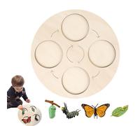 Vassoio per ciclo : gioco educativo in legno da 26 cm, giocattolo per lo studio di trasformazione degli animali, gioco di sviluppo interattivo con design D
