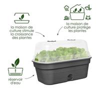 Vassoio per coltivazione ELHO Green Basics Allin1 L - Nero - L 39 x P 23 x H 15 cm - coltivazione e raccolta - 100% riciclato