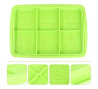 Vassoio Per Coltivazione Germinazione Crescente La Scuola Materna