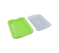 Vassoio per germogli di grano sostenibile per consumatori attenti all'ambiente