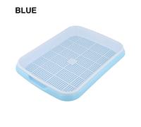 Vassoio per germogli di grano sostenibile per consumatori attenti all'ambiente