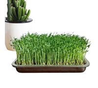 Vassoio per germogliare, propagatore in acciaio inossidabile, grande contenitore per piante da giardino antiruggine per fagioli verdi per interni ed esterni, robusto contenitore per la germinazione de