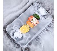 Vassoio per sushi - Vassoio da esposizione per sashimi di ghiaccio secco e cucina molecolare, stoviglie creative per servire, design rettangolare