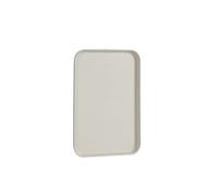 Vassoio Plastica Vassoio in plastica for alimenti, teglia for pane, rettangolare, verde, for la casa, for cucina, for il servizio alberghiero, for dessert(Grey,30x22CM)