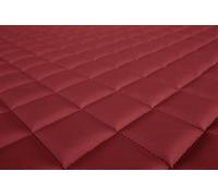 Vassoio vano piedi F-CORE FL21 RED per MAN TGA 6.871 2001-2001