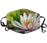 Vaughan, Sarah - Sarah Vaughan A Paris (Jazz In Paris Collection)