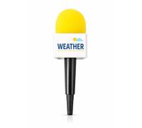 Vaulted Skulls & Co Microfono Reporter Mic Prop | Accessori per microfono in finta schiuma | Accessorio per costume da giornalista | Microfoni non funzionanti (giallo - meteo)