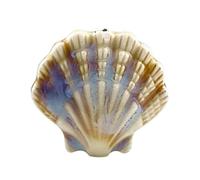 VAYEODEYU 4 perline in ceramica a forma di conchiglia, multicolore, foro da 2 mm, resistenza agli urti(White)