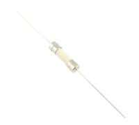 VAYEODEYU Fusibili in ceramica, Confezione da 100 fusibili ceramici rapidi e lenti 5x20 mm 250 V 2 A-15 A modelli multipli(T10AH)
