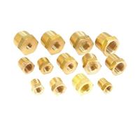 VAYEODEYU Raccordo per Tubo da Giardino in Ottone, Boccola di riduzione in Ottone da 1/4" a 3/4" NPT BSPT Maschio a Femmina for Aria, Gas, Carburante, Acqua 229 PSI(Type 5)