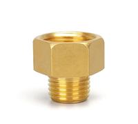 VAYEODEYU Raccordo per Tubo da Giardino in Ottone, Connettore for Tubi Maschio-Femmina in Ottone, Diverse Misure, tonalità Oro(1/8 M To 1/4 F)