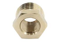 VAYEODEYU Raccordo per Tubo da Giardino in Ottone, Raccordo for Tubo Riduttore filettato con boccola Esagonale in Ottone, Diverse Dimensioni(F 1/4-M 3/8)