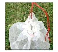 VAYEODEYU Sacchetti protettivi per la frutta, 50pcs Fruit Barrier Bag, Grape Protection Bags For Fruit Vegetable Grapes Mesh Bag Against Insect Pouch Waterproof Pest Control Anti-Bird Garden(55x35cm)