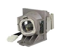 VBHGUYC Lampada for proiettore RLC-109 adatta for VIEWSONIC PA503W / PG603W VS16907 PS501W PS600W(Bulb with housing)