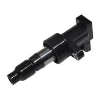 VBNYBA Bobina Accensione Compatibile con Jaguar per X-Type per X400 3.0L 2002-2009 per S-Type X200 1999-2008 Bobine di Accensione per Auto Accessori Motori Bobina di Accensione C2S42673(1pcs)