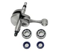 VCDXZCO Albero motore con cuscinetti e kit motore paraolio for Stihl MS231 MS251 MS251C MS251CBE MS251CBE-2 Attrezzo da giardino for motosega