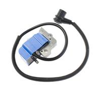 VCDXZCO Ignition Coil Fit For Echo Blower PB-601 PB-602 PB-603 PB-60HT PB-610 PB-620 15660108361,15660109860,15660108260