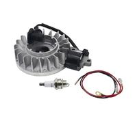 VCDXZCO Magneto Volano e Accenditore Bobina di Accensione for Stihl 066 MS650 MS660 Motosega Motore Attrezzi Da Giardino Parti 11224001217, 11224001314(Flywheel Ignition)