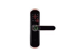 VChics Serratura intelligente per porte, Fingerprint Smart Lock For Biometric Door BT APP Inteligente CIRCUITO INTEGRATO Card Keyless Entry With Passcode(Rose Double latch)