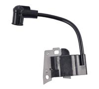 VDFNGFD Compatibile con 168501-5 168816-0 Modulo Bobina di accensione Compatibile con EM4250 EM4340 EPH100X ER2550 ER2650 EVH2000 EW1050H EW1060