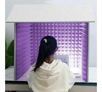 VDLLQYN, Box for registrazione vocale portatile, attrezzatura da studio, schermo for microfono for podcast, canto, giochi e trasmissione,Studio di registrazione semplice e portatile(Purple)