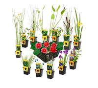 vdvelde - Mix 12 Piante da Laghetto P9 incl. Ninfea Nana Rossa Nymphaea Pygmaea Rubra, 3 Cestini da Laghetto & AQUA SET - Piante Ossigenanti - Rustiche - Per Insetti