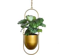 VDYXEW Staffa per piante da appendere, in metallo, moderna, per piante da interni, stile boho, moderna decorazione per la casa (oro)