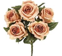 VEA SRL L.Autunno Mazzo G. Rosa 47608