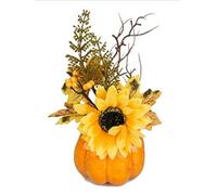 VEA SRL L.Autunno PIANTINA Girasole 22cm LEI5771