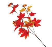 VEA SRL L.Autunno Stelo P. Foglie Bacche 412