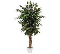 VEA SRL PIANTA G. FICUS 130cm 57189