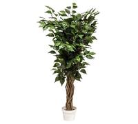 VEA SRL PIANTA G. FICUS 90cm 57188