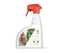 Vebi DOPPIA AZIONE RTU Rimedio Naturale Biologico con Olio Neem e Sapone Molle Protezione Piante e Orto contro Acari Coccinilia Cimici Fumaggine Pronto Uso Spray 750 ML