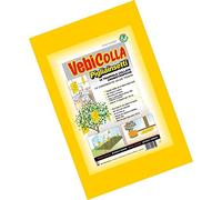 VebiColla Trappole Cromotropiche pigliainsetti tavolette collose No veleno 10 PZ AMDGarden
