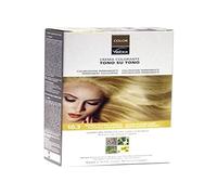 Vebix Tinta per Capelli, Biondo Platino Dorato - 300 g