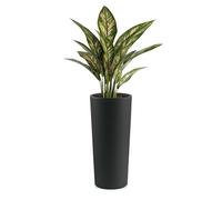 Veca Veneta Casalinghi CACHE-POT CLOU ROTONDO H65 ANTRACITE