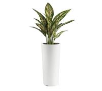Veca Veneta Casalinghi CACHE-POT CLOU ROTONDO H65 BIANCO