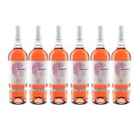 Vecchia Torre 6 NEGROAMARO Rosato Vecchia Torre 2024