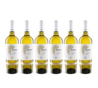 Vecchia Torre 6 VERMENTINO Salento 2024 Vecchia Torre Leverano 2024