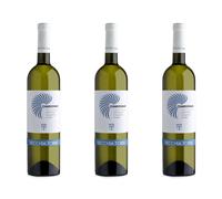 Vecchia torre box 3 bottiglie Chardonnay IGP Salento