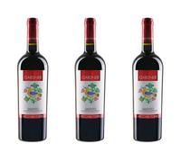 Vecchia torre box 3 bottiglie Gardner IGP Salento rosso 2022