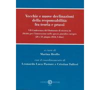 Vecchie e nuove declinazioni della responsabilità: fra teoria e prassi. VII Conferenza del Dottorato di ricerca in Diritto per l'innovazione nello spazio giuridico europeo (20 e 21 giugno 2024, Udine)