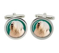 Vecchio Inglese Cane da Pastore Gemelli IN Cromo Scatola