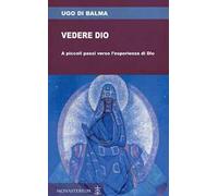 Vedere Dio. A piccoli passi verso l'esperienza di Dio