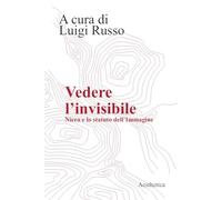 Vedere l'invisibile. Nicea e lo statuto dell'immagine