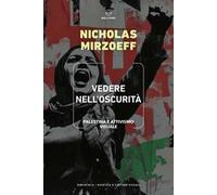 Vedere nell'oscurità. Palestina e attivismo visuale