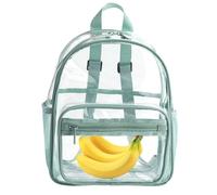 Vedi Attraverso La Borsa Del Libro - Spazioso Zaino Trasparente, Carico Multi Compartimento, Design Robusto | Easy Access Storage Style, Trendy School esentials For Middle Schools Use & Daily